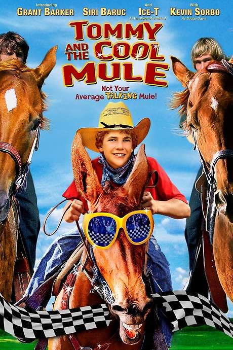 Tommy and the Cool Mule (2009) movie poster