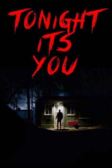 Tonight It’s You (2016) movie poster