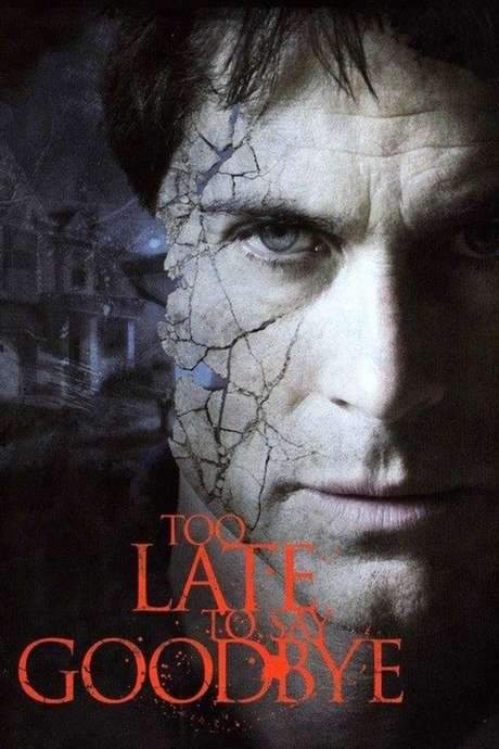 Too Late to Say Goodbye (2009) movie poster