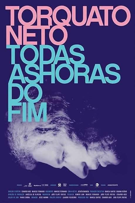 Torquato Neto - Every Hour of the End (2017) movie poster
