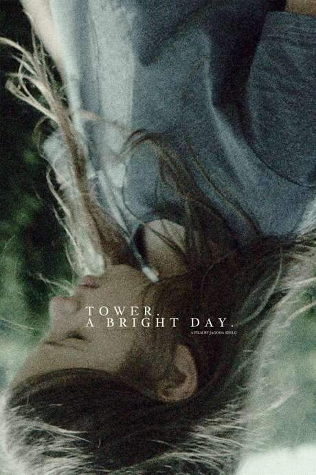 Tower. A Bright Day. (2017) movie poster