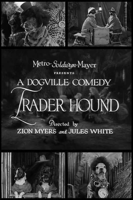 Trader Hound (1931) movie poster
