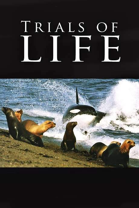 Trials of Life (1990) movie poster