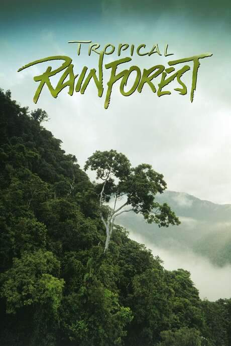 Tropical Rainforest (1992) movie poster
