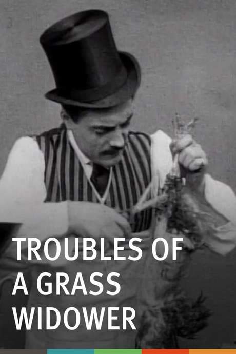 Troubles of a Grass Widower (1908) movie poster