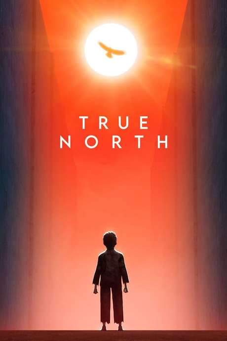 True North (2020) movie poster