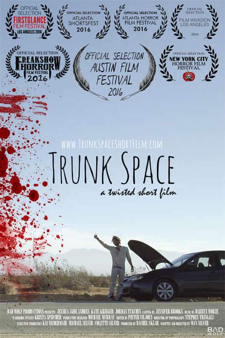 Trunk Space (2016) movie poster