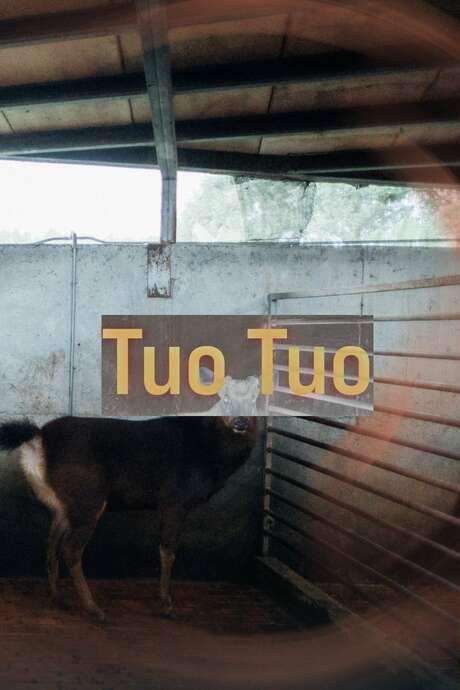 Tuo Tuo (2022) movie poster