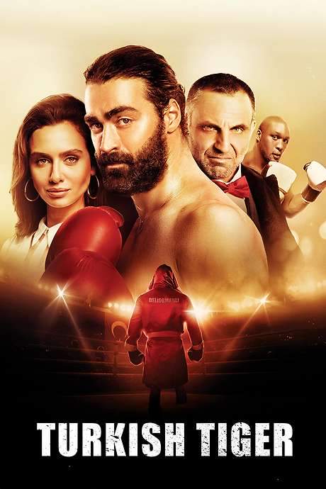 Turkish Tiger (2016) movie poster
