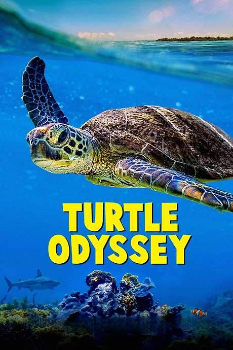 Turtle Odyssey (2018) movie poster