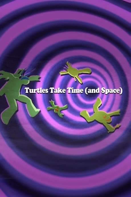 Turtles Take Time (and Space) (2016) movie poster