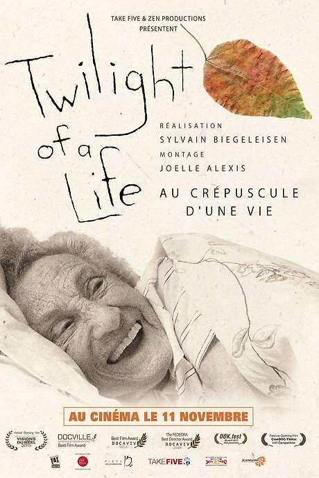 Twilight of a Life (2015) movie poster