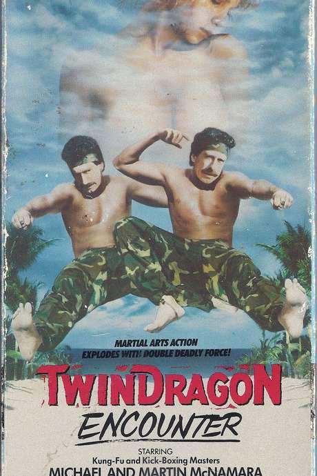 Twin Dragon Encounter (1986) movie poster