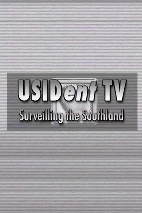 USIDent TV: Surveilling the Southland (2008) movie poster