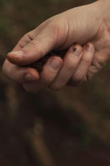 A man grappling with profound loneliness finds himself lost in reflection on a restless night. He drifts into a dreamlike state, revisiting pivotal moments in his life and contemplating alternative paths not taken. Seeking solace and a way to overcome his fear and isolation, he attempts to reshape his past and make different choices, exploring what might have been.