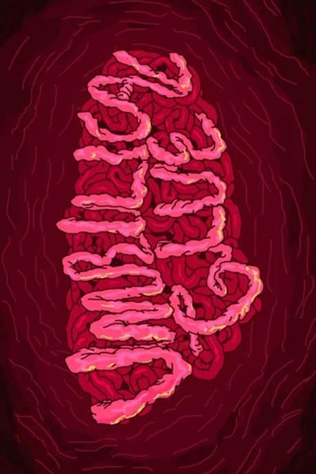 Umbilical Glue (2017) movie poster