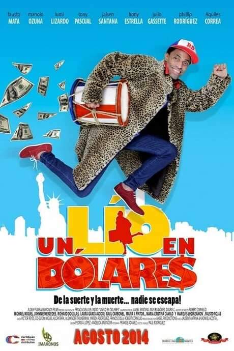 Un lío en dólares (2014) movie poster