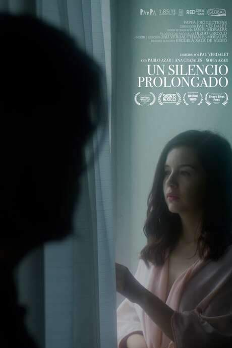 Un silencio prolongado (2020) movie poster