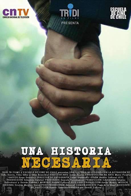 Una historia necesaria (2017) movie poster