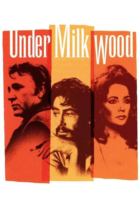 Under Milk Wood (1972) movie poster