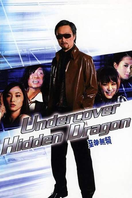 Undercover Hidden Dragon (2006) movie poster