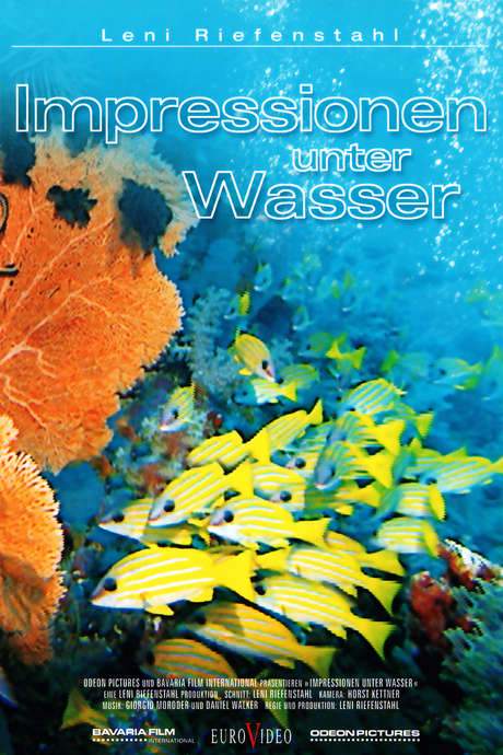 Underwater Impressions (2002) movie poster