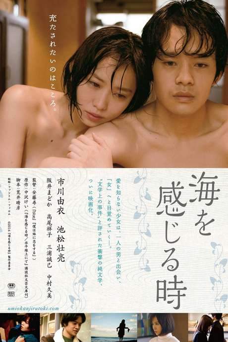 Undulant Fever (2014) movie poster
