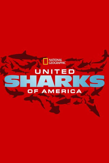 United Sharks of America (2015) movie poster