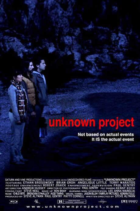 Unknown Project (2013) movie poster