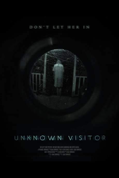 Unknown Visitor (2019) movie poster