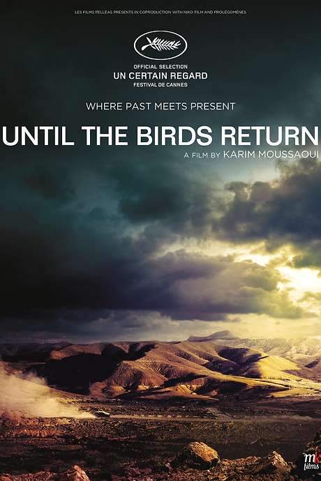 Until The Birds Return (2017) movie poster