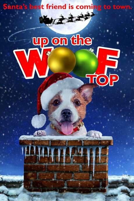 Up on the Wooftop (2015) movie poster