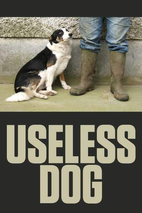 Useless Dog (2004) movie poster