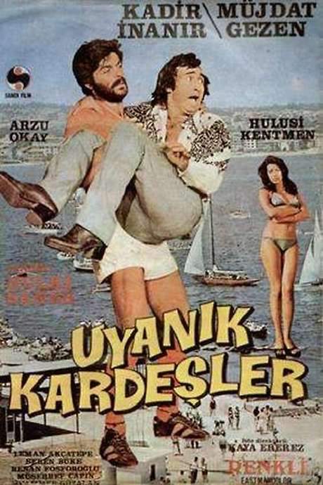 Uyanık Kardeşler (1974) movie poster