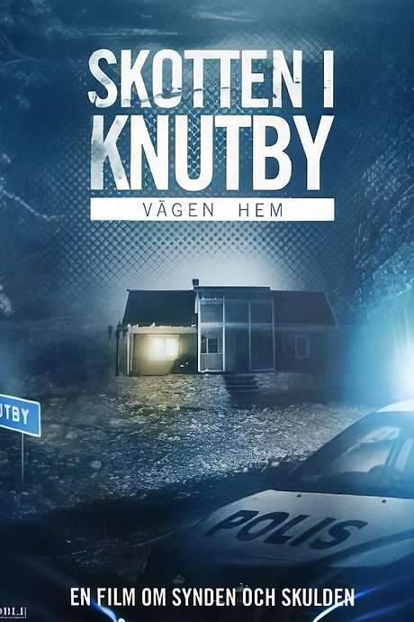 Vägen hem (2009) movie poster