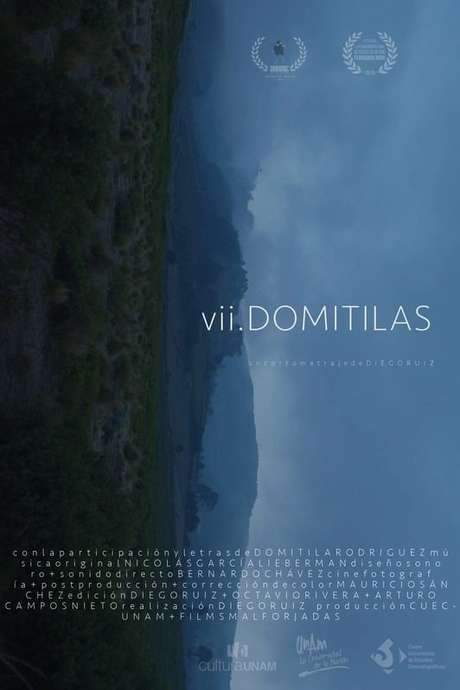 VII Domitilas (2019) movie poster