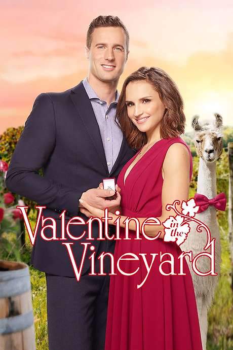Valentine in the Vineyard (2019) movie poster