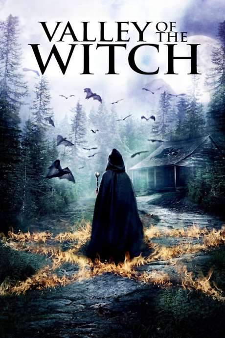 Valley of the Witch (2014) movie poster