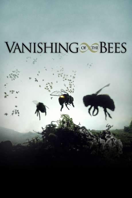 Vanishing of the Bees (2009) movie poster