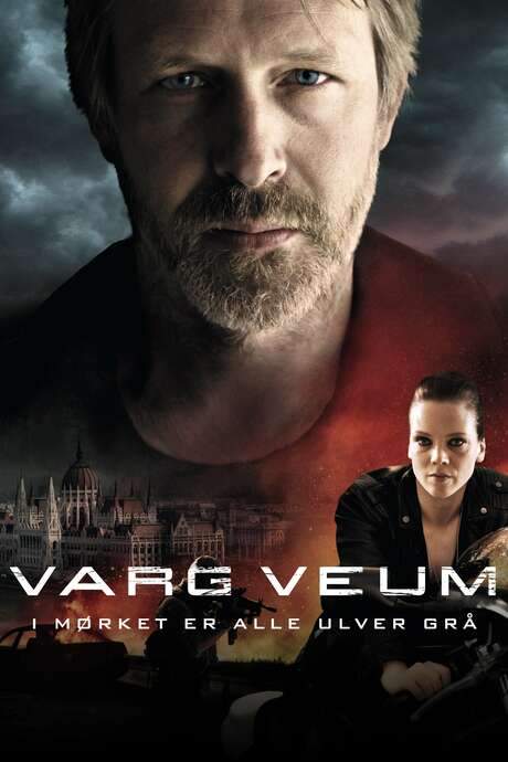 Varg Veum - At Night All Wolves Are Grey (2011) movie poster