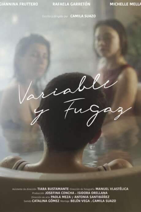 Variable and Fleeting (2019) movie poster