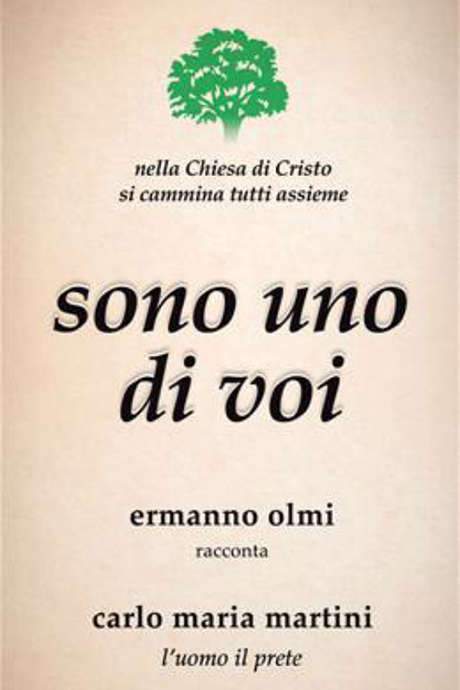 Vedete, sono uno di voi (2017) movie poster