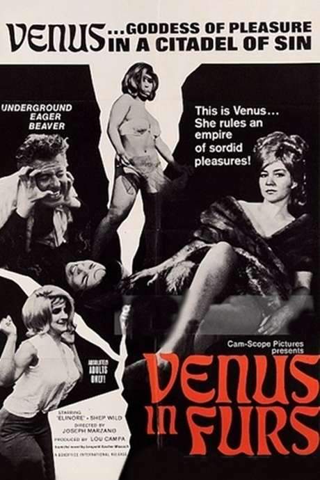 Venus in Furs (1967) movie poster