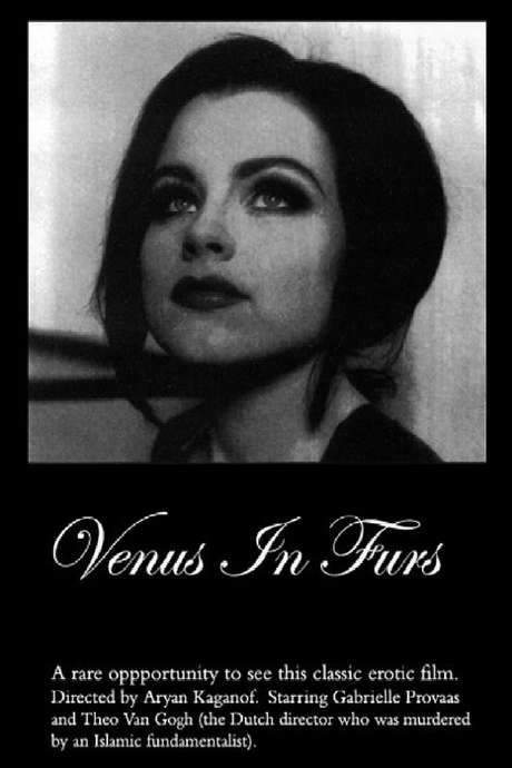 Venus in Furs (2001) movie poster
