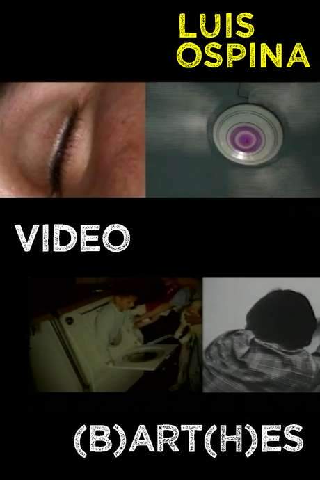 Video (B)art(h)es (2003) movie poster