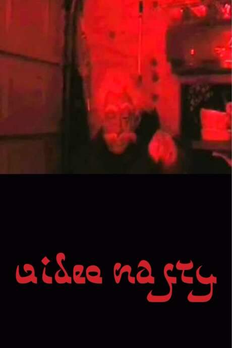 Video Nasty (2011) movie poster
