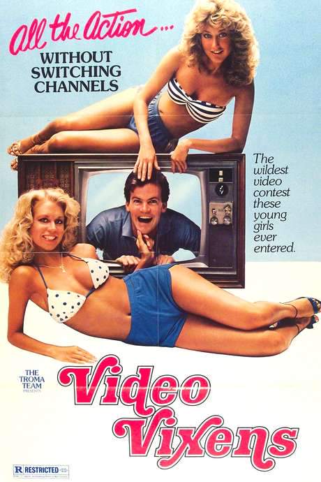 Video Vixens! (1975) movie poster