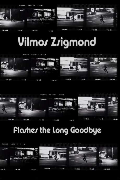 Vilmos Zsigmond Flashes ‘The Long Goodbye’ (2002) movie poster
