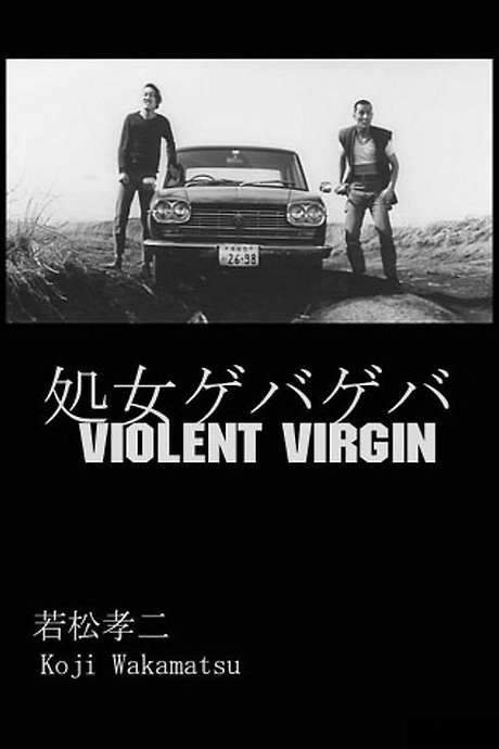 Violent Virgin (1969) movie poster