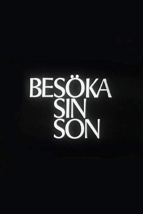 Visiting One’s Son (1967) movie poster